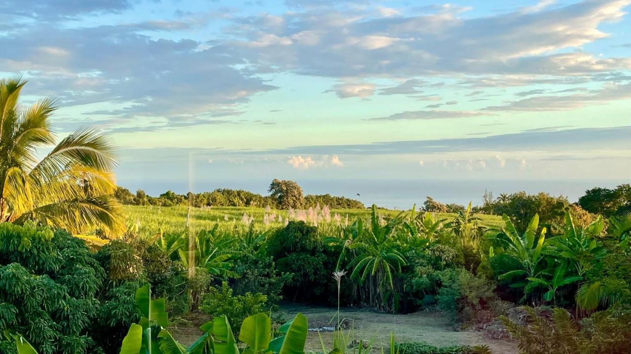 Les Villas De La Ligne Des Bambous Ravine des Cabris Ngoại thất bức ảnh