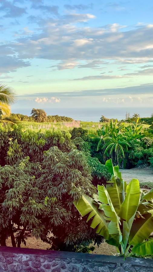 Les Villas De La Ligne Des Bambous Ravine des Cabris Ngoại thất bức ảnh